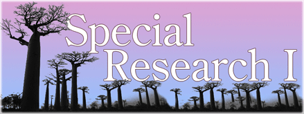 Special Risearch I