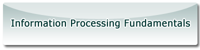 Information Processing Fundamentals